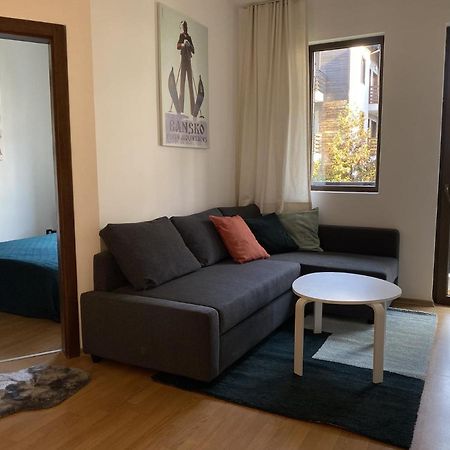 2 Bedroom Apartment Next To Gondola Ski Lift Bansko Esterno foto
